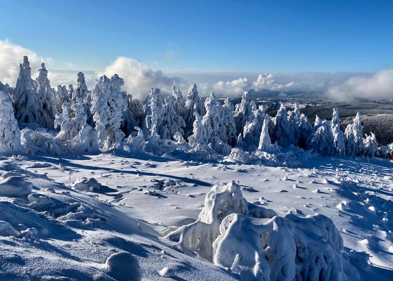 Apartmány Nad Šlikovkou Jáchymov Exterior foto